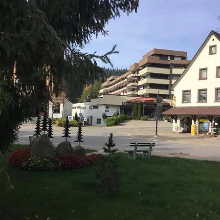 Apartment 358 Mit Sauna, Schwimmbad Und Fitness Schoenwald im Schwarzwald Exterior photo