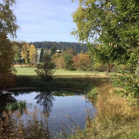 Apartment 358 Mit Sauna, Schwimmbad Und Fitness Schoenwald im Schwarzwald Exterior photo