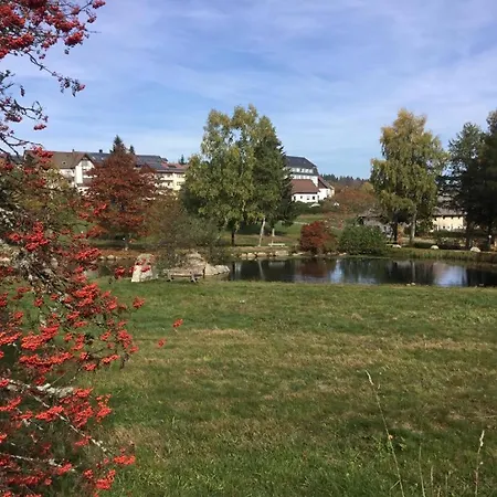 Apartment 358 Mit Sauna, Schwimmbad Und Fitness Schoenwald im Schwarzwald Exterior photo