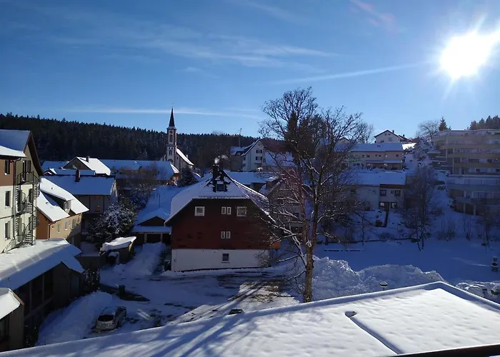 Apartment 358 Mit Sauna, Schwimmbad Und Fitness